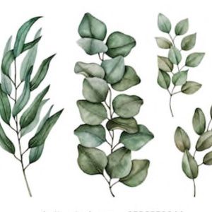 Meet your Posher, Rachael